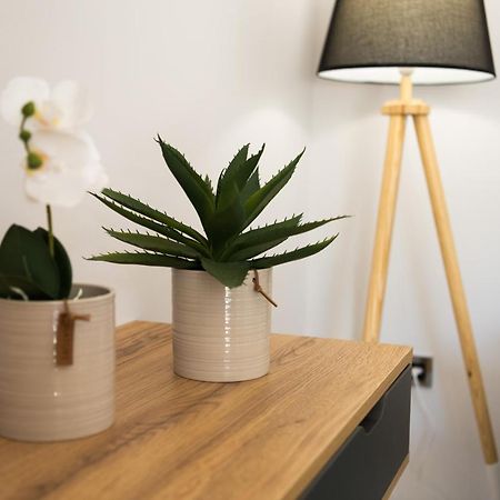 Al Santo Apartments Zakynthos Town Ngoại thất bức ảnh